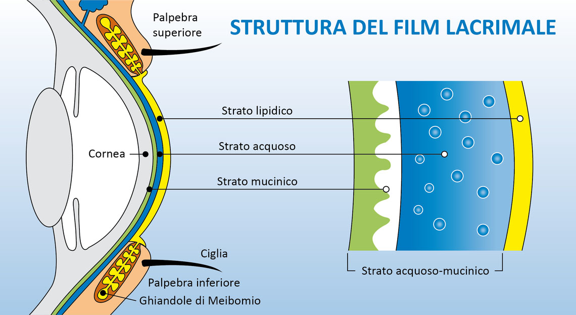 struttura film lacrimale